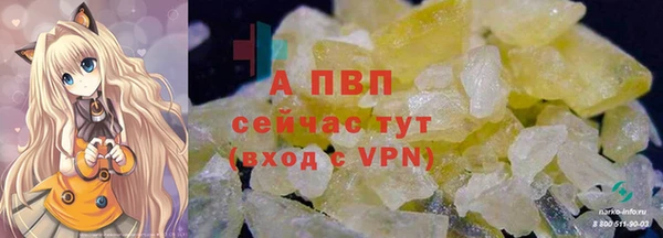 сатива Бронницы