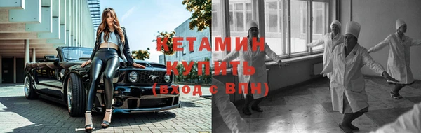 сатива Бронницы