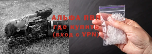 сатива Бронницы