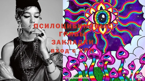 сатива Бронницы